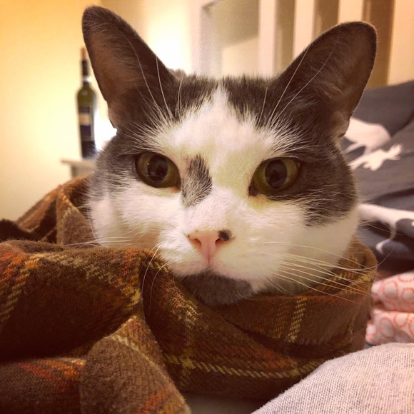 Meet your Posher, Jess - Picture 1 of 1